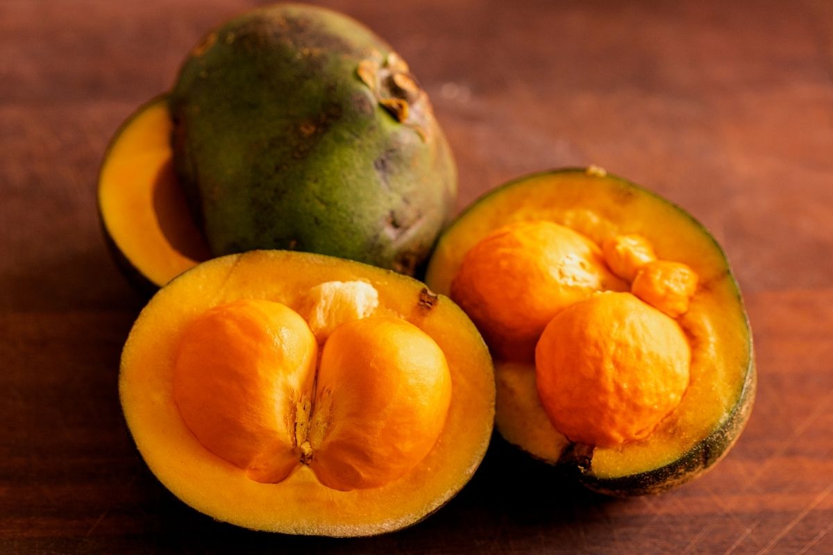 pequi um dos símbolos da culinária de Goiás